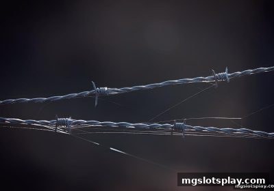 mg电子深度洞察：网络出款平台的风险解析与免佣百家乐指南
