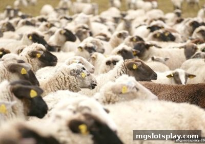 英超观赛与mg电子21点跨界实战：从概率到策略的进阶指南